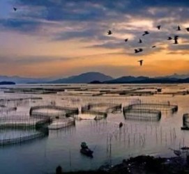 江苏伴游中国网景点丰富(旅游网介绍)