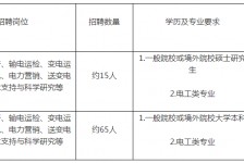 江苏重庆有雇用伴游外围吗(高端外围伴游雇用一单一结)