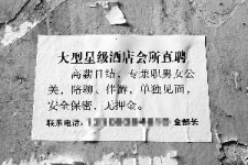 江苏珠海伴游雇用网(珠海游览社雇用信息)
