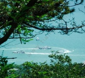 江苏中国伴游网与你分享旅游的点滴(中国伴游网与你分享旅游的点滴是什么)