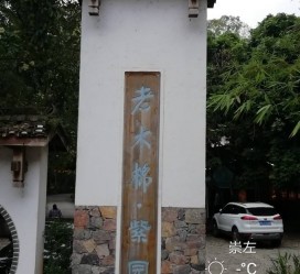 江苏关于伴游中国伴游你们伴得是什么游的信息