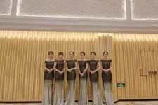 江苏杭州模特礼节兼职群(杭州兼职商务模特经纪人微信)
