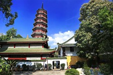 江苏广州自由行(广州 自由行)