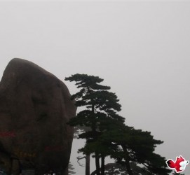 江苏上海伴游私家陪游雇用女模(上海伴游私家陪游雇用女模特)