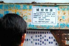 江苏福州商务伴游雇用(福州各个夜场KTV夜总会雇用)