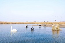 江苏南昌附近伴游小妹兼职(1534939978姐的微信德惠市)