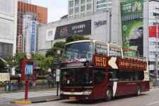 江苏上海私人伴游 上海过年怎么玩？这些“微游”线路了解下→