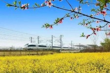 江苏高铁游(高铁游戏下载手机版)
