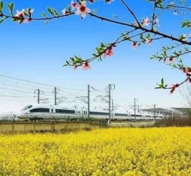江苏高铁游(高铁游戏下载手机版)