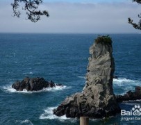 江苏旅游全攻略(上海旅游全攻略)