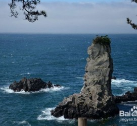 江苏旅游全攻略(上海旅游全攻略)