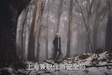 江苏上海私人伴游 上海伴游，上海兼职伴游安全吗