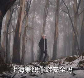 江苏上海私人伴游 上海伴游，上海兼职伴游安全吗