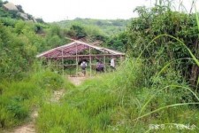江苏北海伴游兼职雇用信息(北海伴游兼职雇用信息大全)