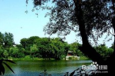 江苏西湖旅游攻略(上海到杭州西湖旅游攻略)