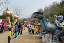 江苏中国伴游带你打卡网红南山竹海(南山竹海网上预约)