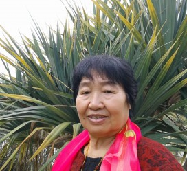 江苏白叟带老伴游半个中国(白叟外出旅游)