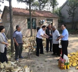 江苏关于宋叔带老伴游中国的信息