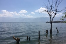 江苏洱海旅游攻略(洱海旅游攻略自由行)