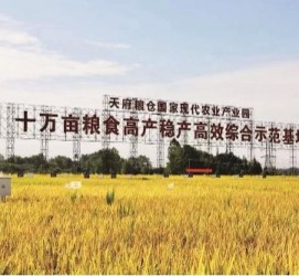 江苏关于成都商务伴游外围雇用的信息