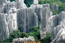 江苏贵阳市游览社英语伴游雇用(贵阳市前十名游览社是哪几家)