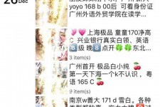 江苏外围伴游雇用圈套(雇用伴游什么样子的是实的)