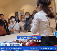 江苏上海私人伴游 看·法｜100元游上海？！“旅社”涉嫌诈骗被一窝端