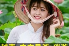 江苏日本关东伴游中国(日本关西旅行)