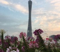 江苏广州旅游攻略(杭州到广州旅游攻略)