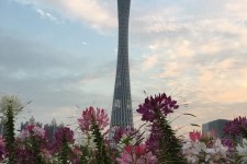 江苏广州旅游攻略(杭州到广州旅游攻略)