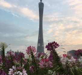 江苏广州旅游攻略(杭州到广州旅游攻略)
