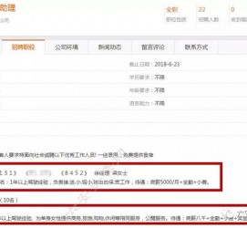 江苏广州伴游雇用平台(广州私家助理伴游雇用)
