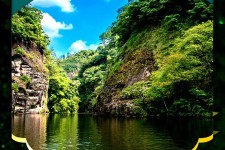 江苏旅游报价(旅行团旅游报价)