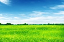 江苏上海伴游 上海模特伴游微信号的交友宣言