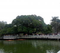 江苏福州旅游攻略(福州旅游攻略二日游)