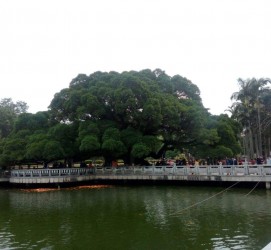 江苏福州旅游攻略(福州旅游攻略二日游)