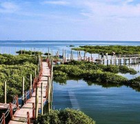 江苏旅游哪里好玩(云南旅游哪里好玩)
