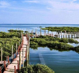 江苏旅游哪里好玩(云南旅游哪里好玩)