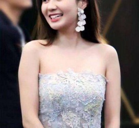 江苏cnbanycom伴游中国明星的简单介绍
