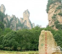 江苏自驾旅游攻略(自驾旅游攻略app排行榜)