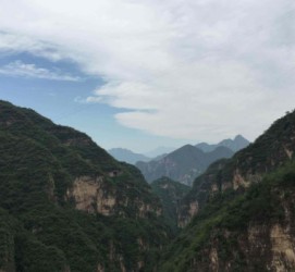 江苏伴游中国伴游城(伴游网上海)