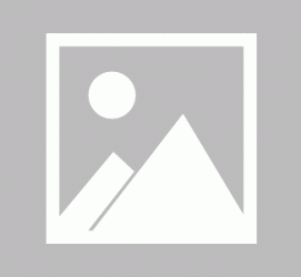 江苏私人伴游 黄金周里动“黄”经 天津又现“私人陪游”逆流