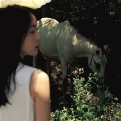 江苏私家伴游让你拥有一次完美的旅游体验